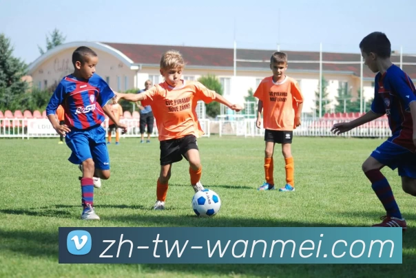 完美体育投注平台APP 封面图